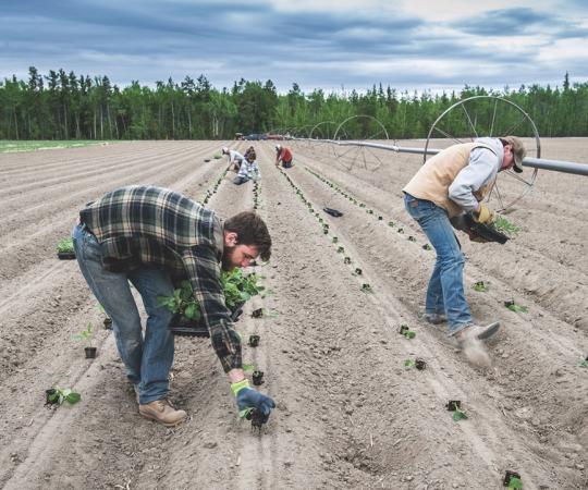 Steve and Bonnie MacKenzie-Grieve have been growing produce since the early 2000s. 