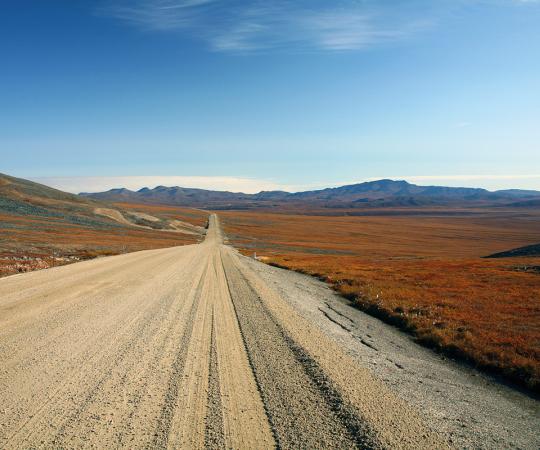 By early September, the fall colours along the Dempster Highway are out in force. Photo by Gerold Sigol/NWTT