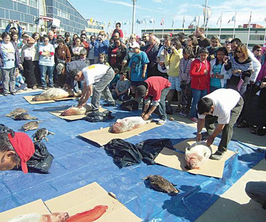 Photo courtesy of Lesley Farrow