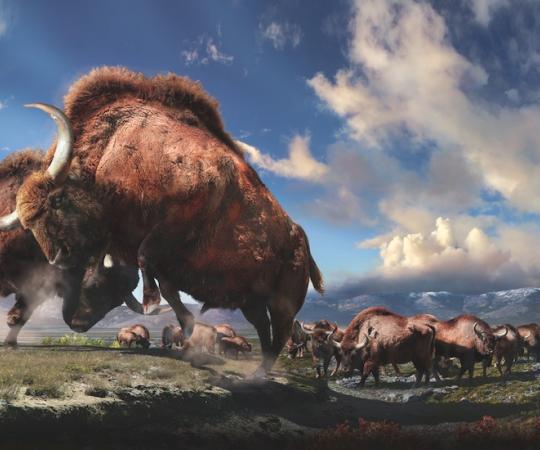 COURTESY JULIUS CSOTONYI. PHOTOS COURTESY PRINCE OF WALES NORTHERN HERITAGE CENTRE