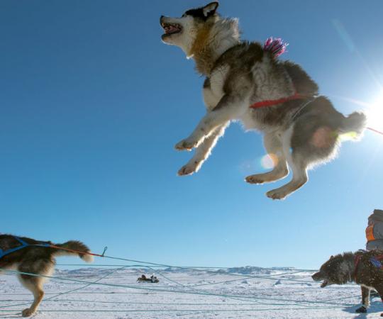 Photo by Pierre Dunnigan/Makivik