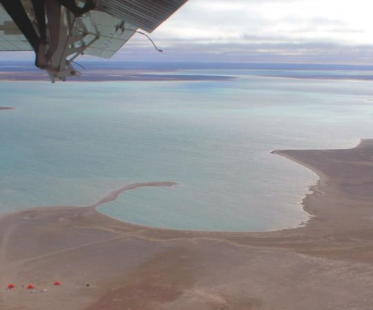 Photo by Elaine Anselmi