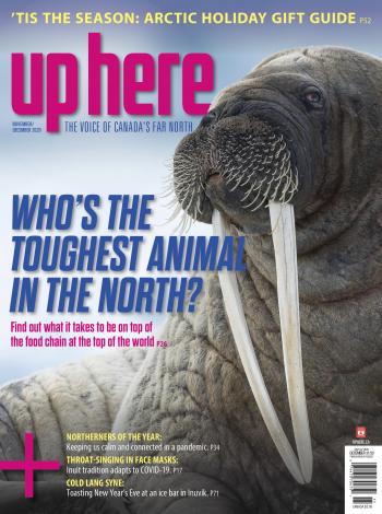 Cover image for November/December 2020