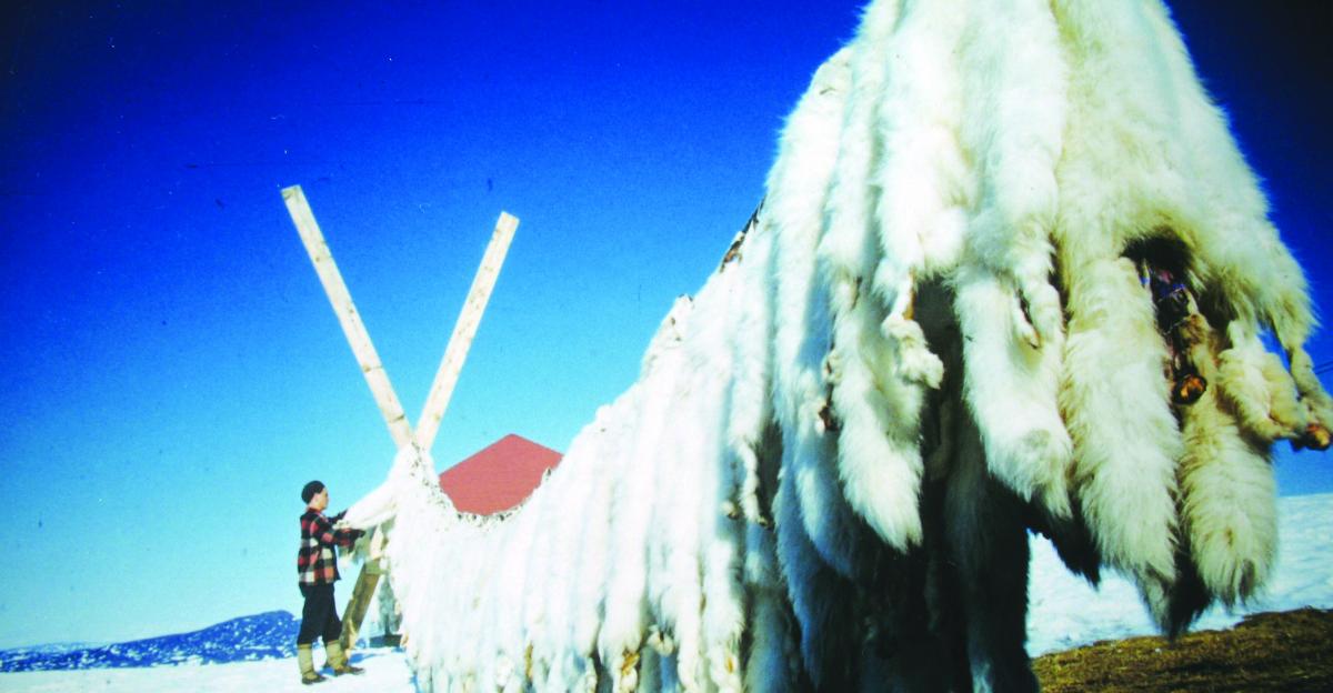 The history of the Bathurst Inlet Post | Up Here Publishing