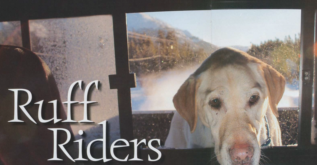 Ruff Riders Script Ruff Riders | Up Here Publishing